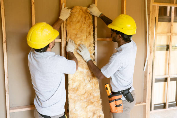 Types of Insulation We Offer in Woodville, WI